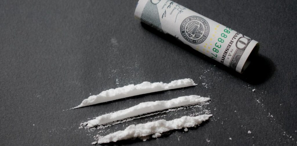 cocaine statistics