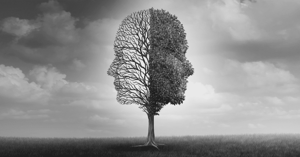 Difference Between Bipolar and Borderline Personality Disorder