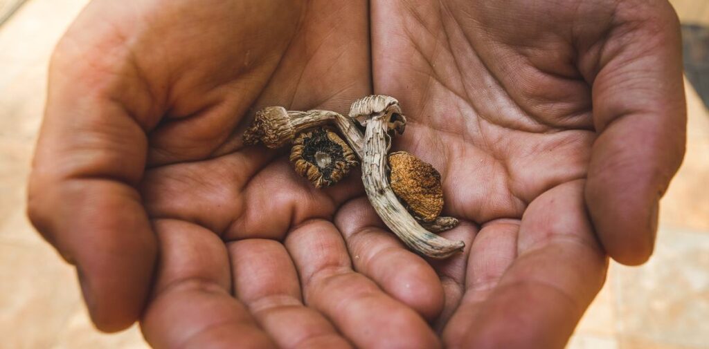 treatment for mushrooms
