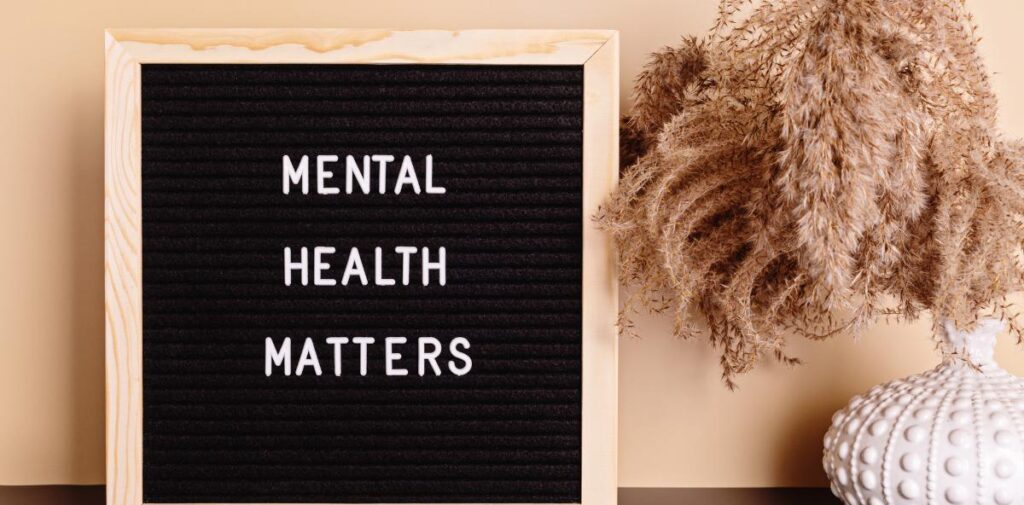 Government programs for mental illness