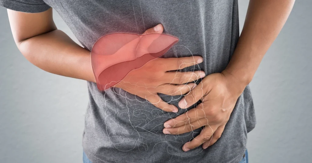 Your Liver, what does alcohol do to your liver
