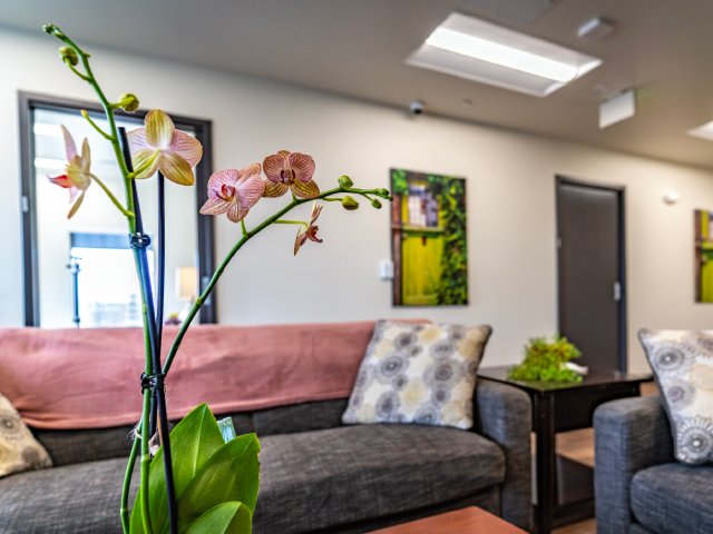 Phoenix Recovery Center LLC facility